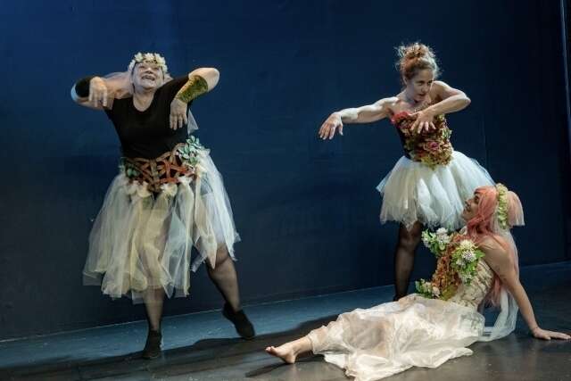 Le songe d’une nuit d’été — Aile Théâtre 2024 — photo 4